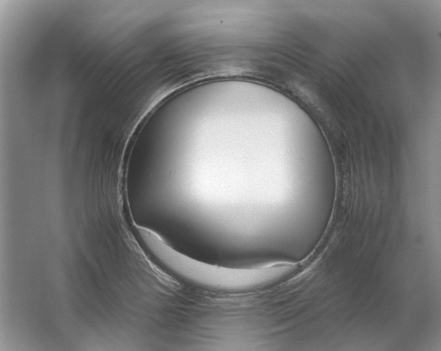 X0000064731178200602241706