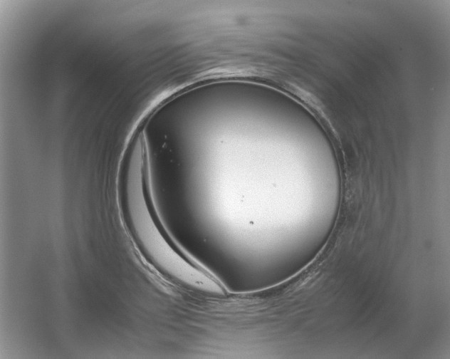 X0000064731179200602241706