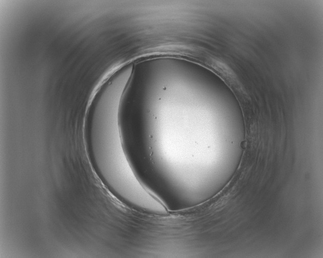 X0000064731180200602241706