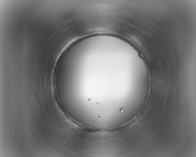 X0000064731182200602241706