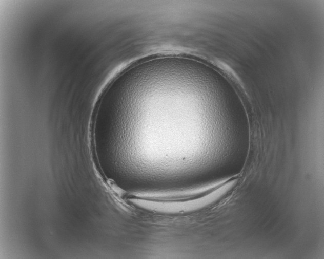 X0000064731183200602241706