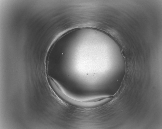 X0000064731184200602241706