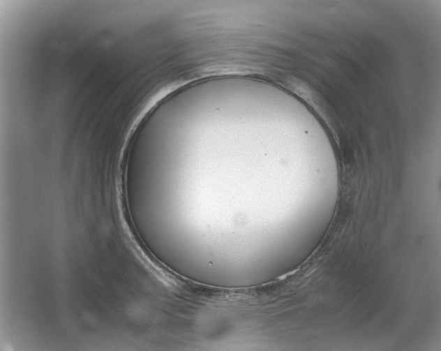 X0000064731187200602241706