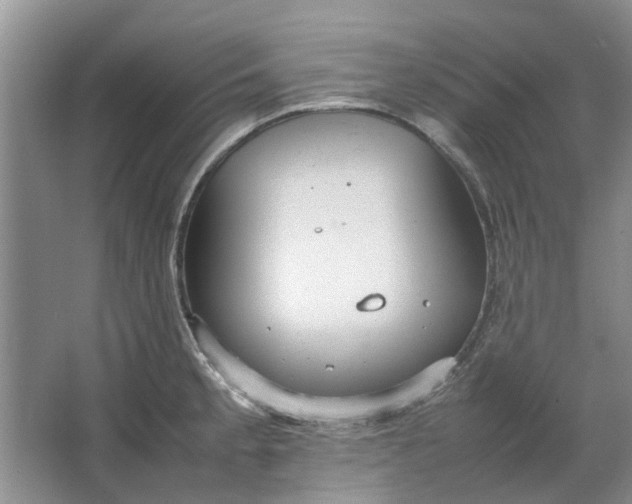 X0000064731189200602241706