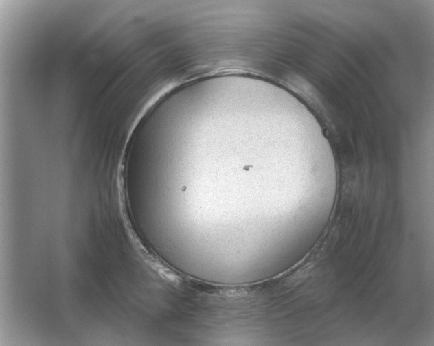 X0000064731190200602241706