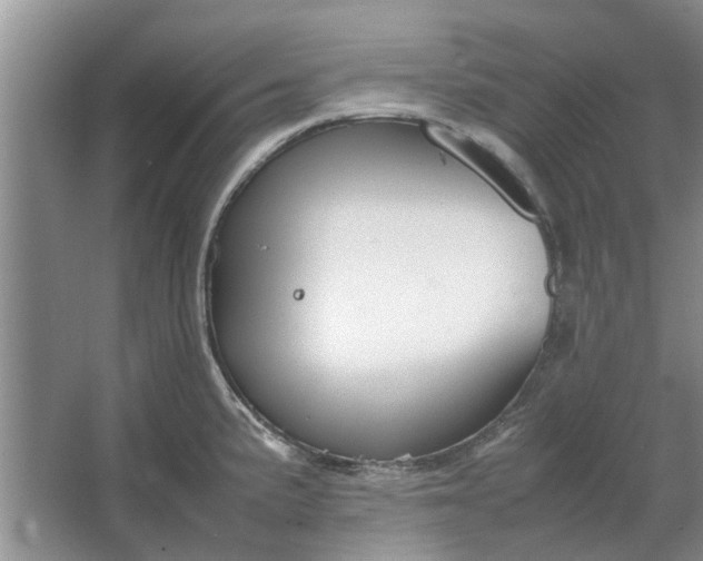 X0000064731191200602241706