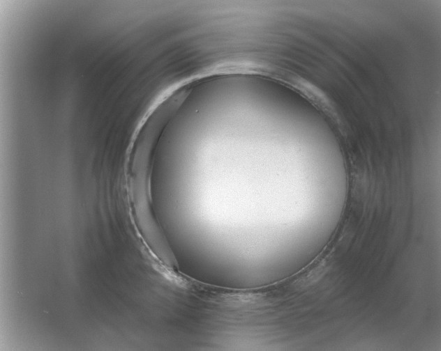 X0000064731192200602241706