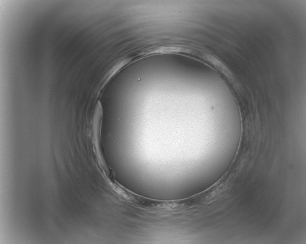 X0000064731193200602241706