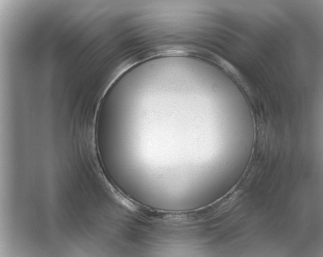 X0000064731194200602241706