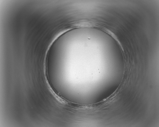 X0000064731195200602241706