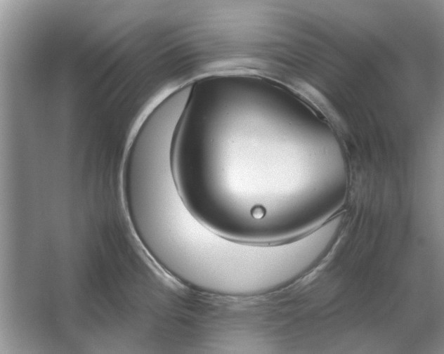 X0000064731196200602241706