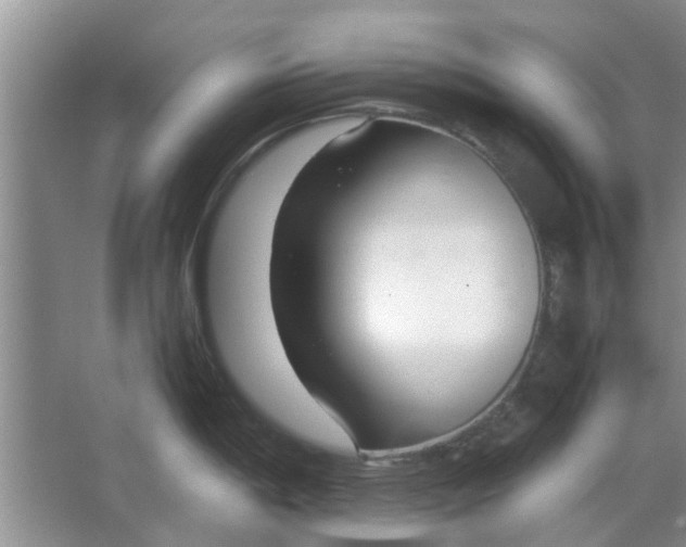 X0000064731198200602241706