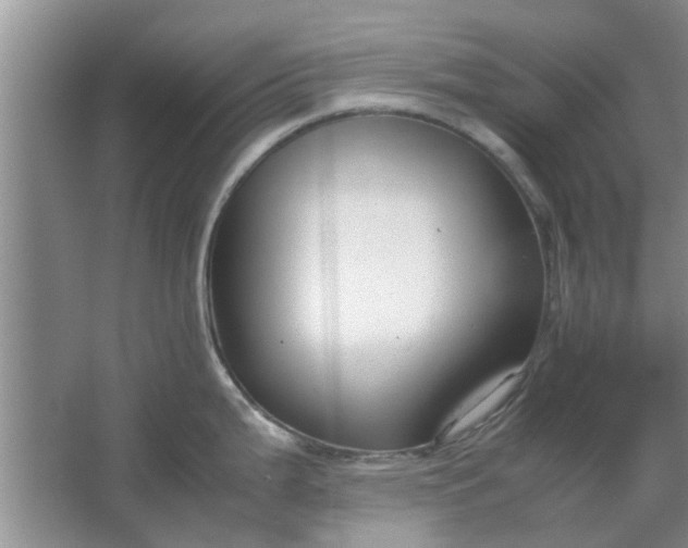 X0000064731199200602241706