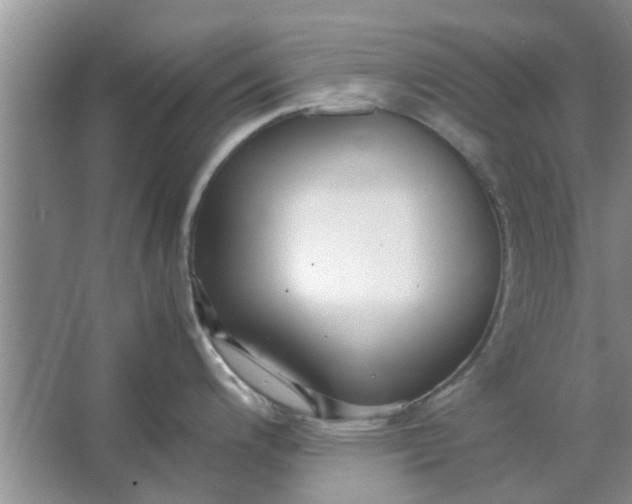 X0000064731200200602241706