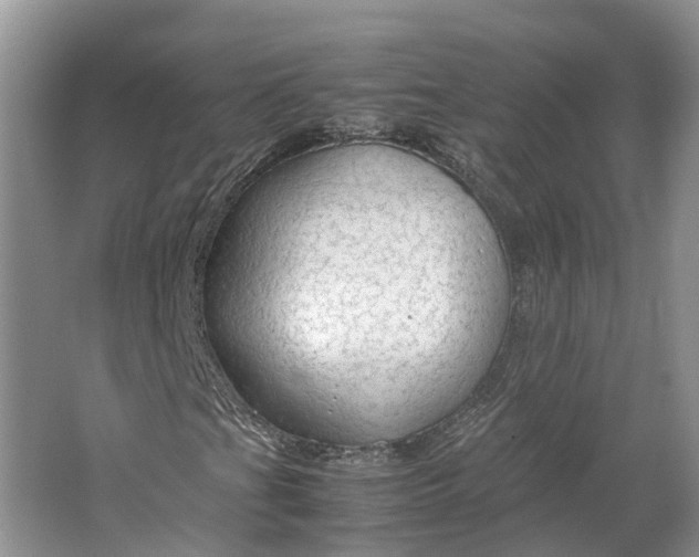 X0000064731201200602241705