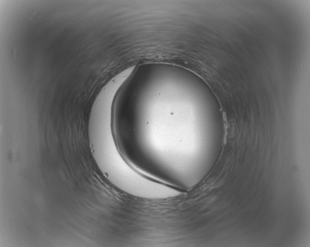 X0000064731202200602241705