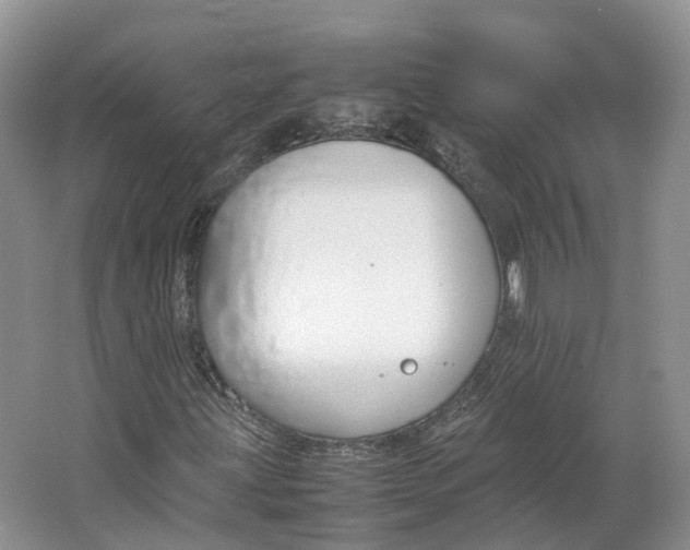 X0000064731203200602241705