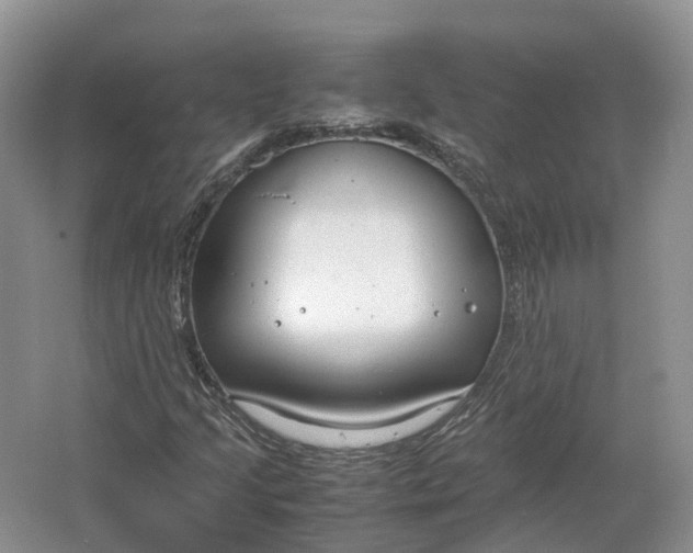 X0000064731205200602241705