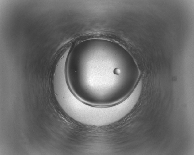 X0000064731206200602241705