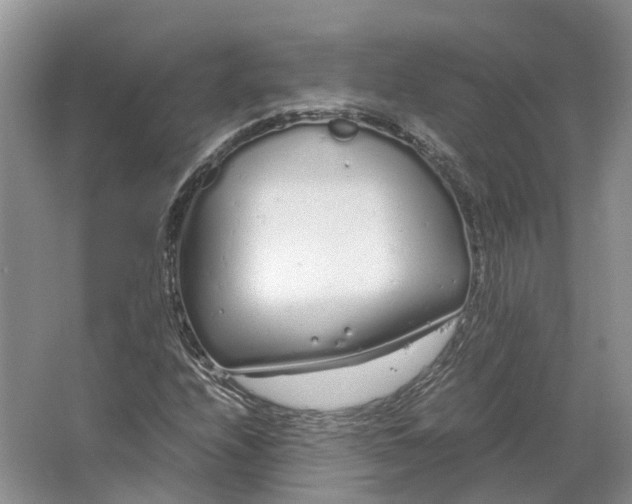 X0000064731208200602241705