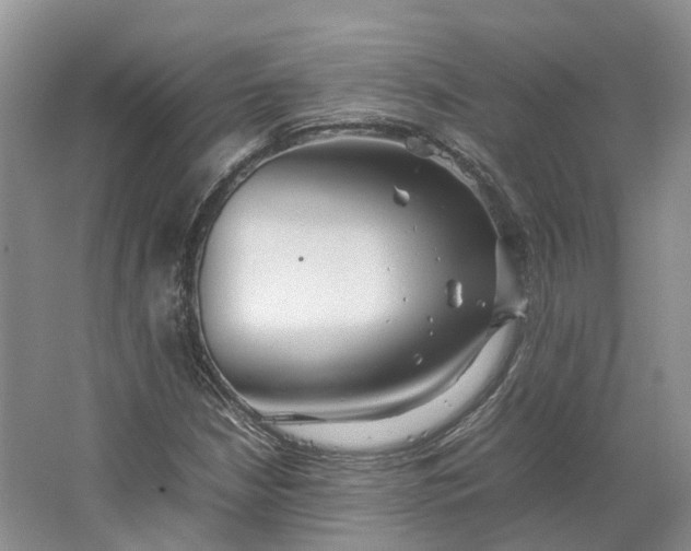 X0000064731210200602241705