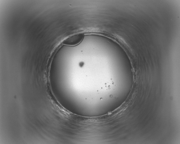 X0000064731212200602241705