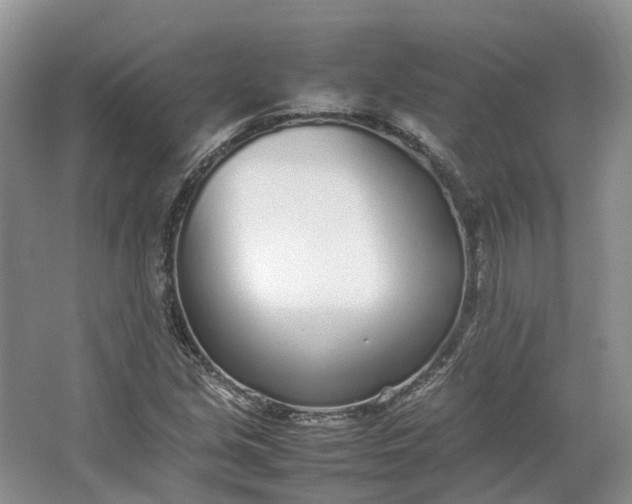 X0000064731213200602241705