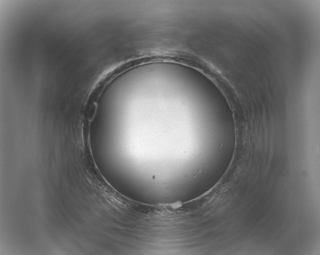 X0000064731214200602241705