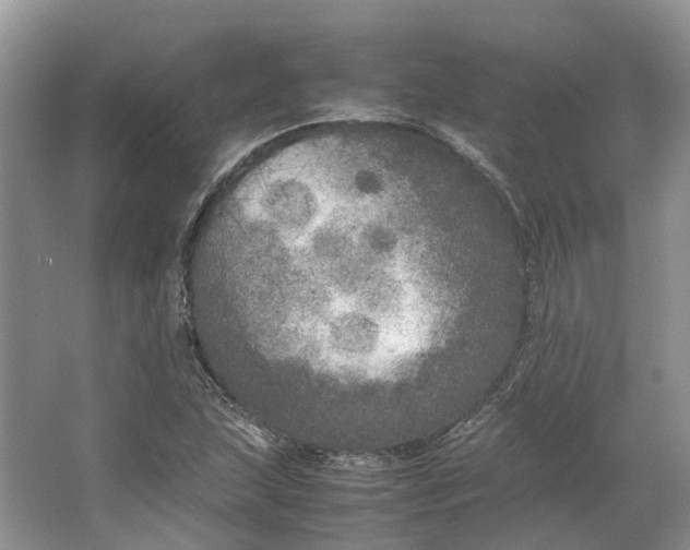 X0000064731215200602241705