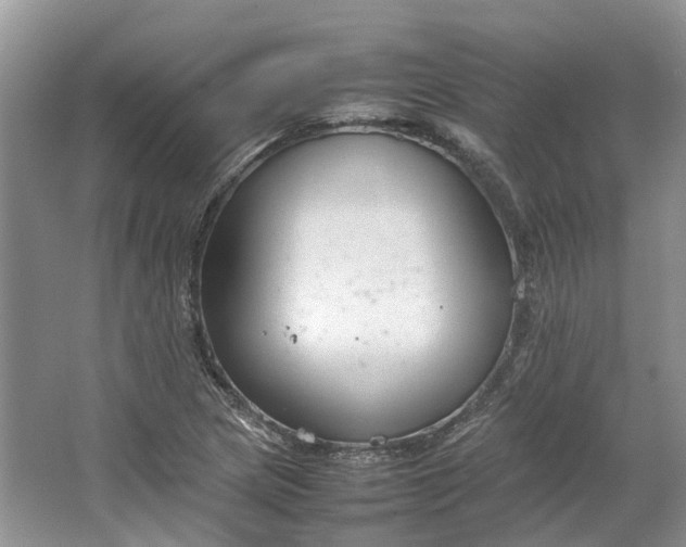 X0000064731217200602241705