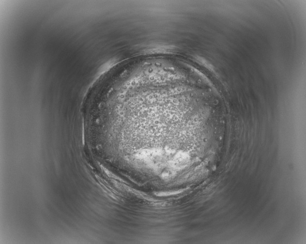 X0000064731219200602241705