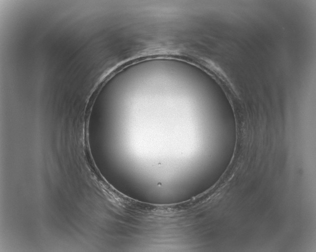 X0000064731220200602241705