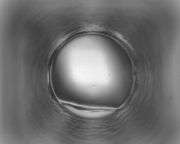 X0000064731221200602241705