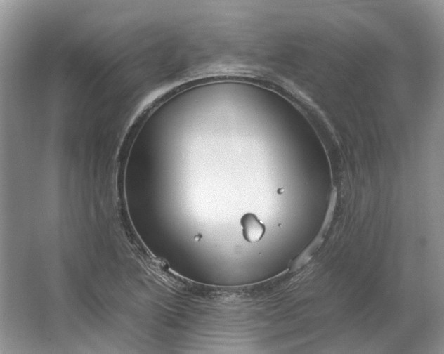 X0000064731222200602241705