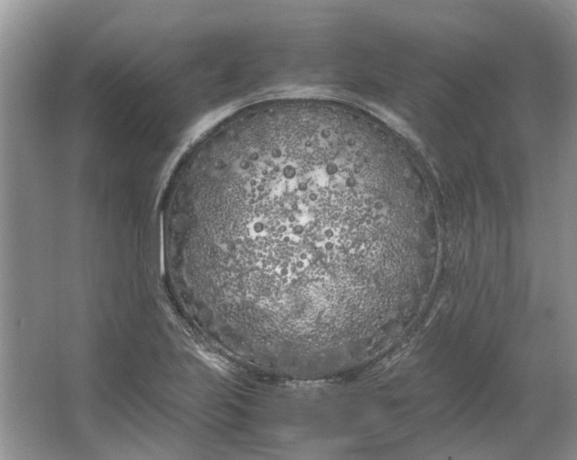 X0000064731223200602241705