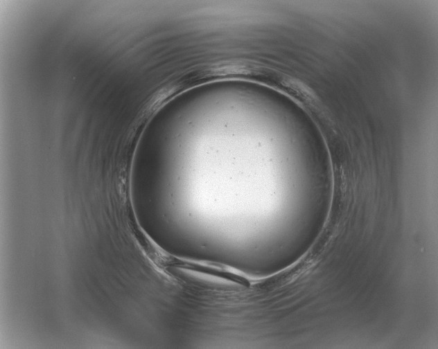 X0000064731225200602241705