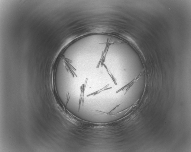 X0000064731227200602241705