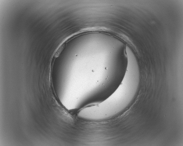 X0000064731228200602241705