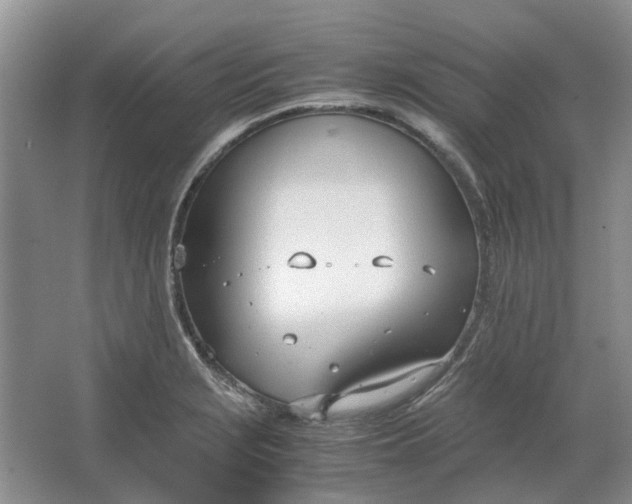 X0000064731229200602241705