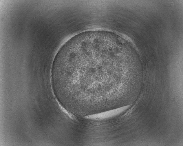 X0000064731231200602241705