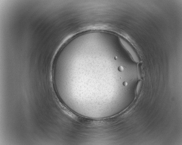 X0000064731232200602241705