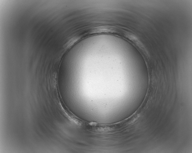 X0000064731233200602241705