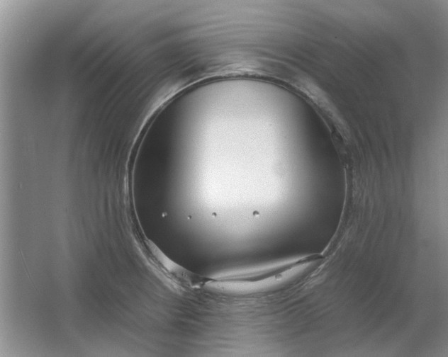 X0000064731234200602241705