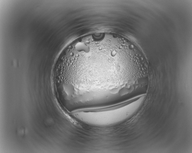 X0000064731235200602241706