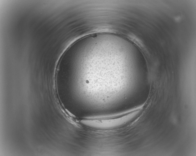 X0000064731236200602241706