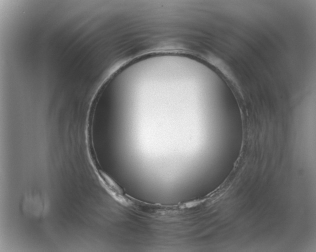 X0000064731237200602241706