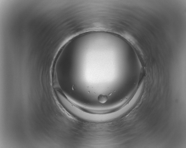 X0000064731238200602241706