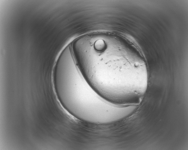 X0000064731243200602241706