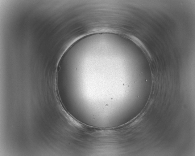 X0000064731244200602241706