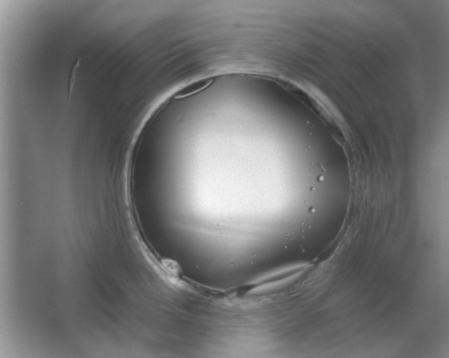 X0000064731246200602241706